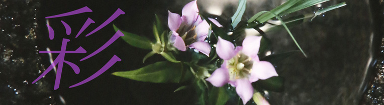 s03.jpg